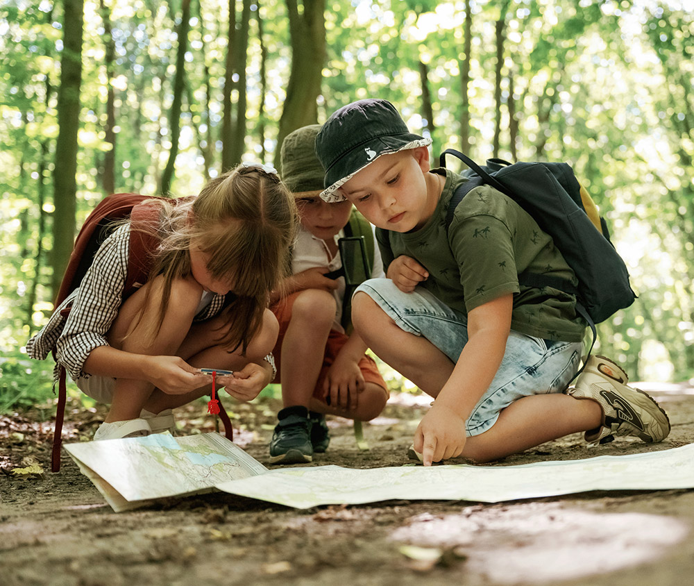 school group camping foreset